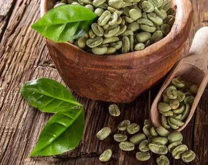 Raw green coffee beans in a wooden bowl, the source of chlorogenic acid extracts