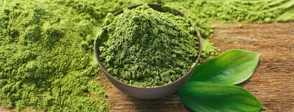 Green coffee bean extract weight-loss evidence reviewed